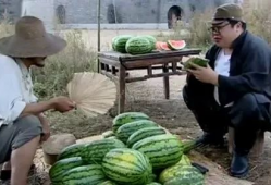 吃瓜爆料黑反差曹县,揭秘曹县背后的惊人反差